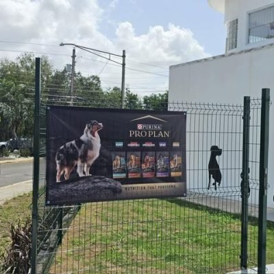 _Hospital Veterinario del Suroeste(2)