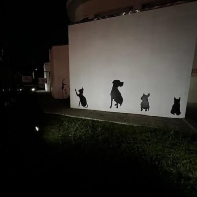 _Hospital Veterinario del Suroeste(5)