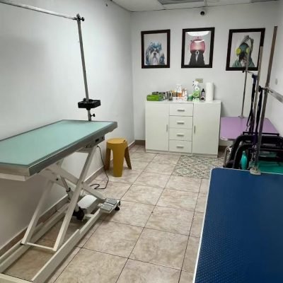 _Hospital Veterinario del Suroeste(6)